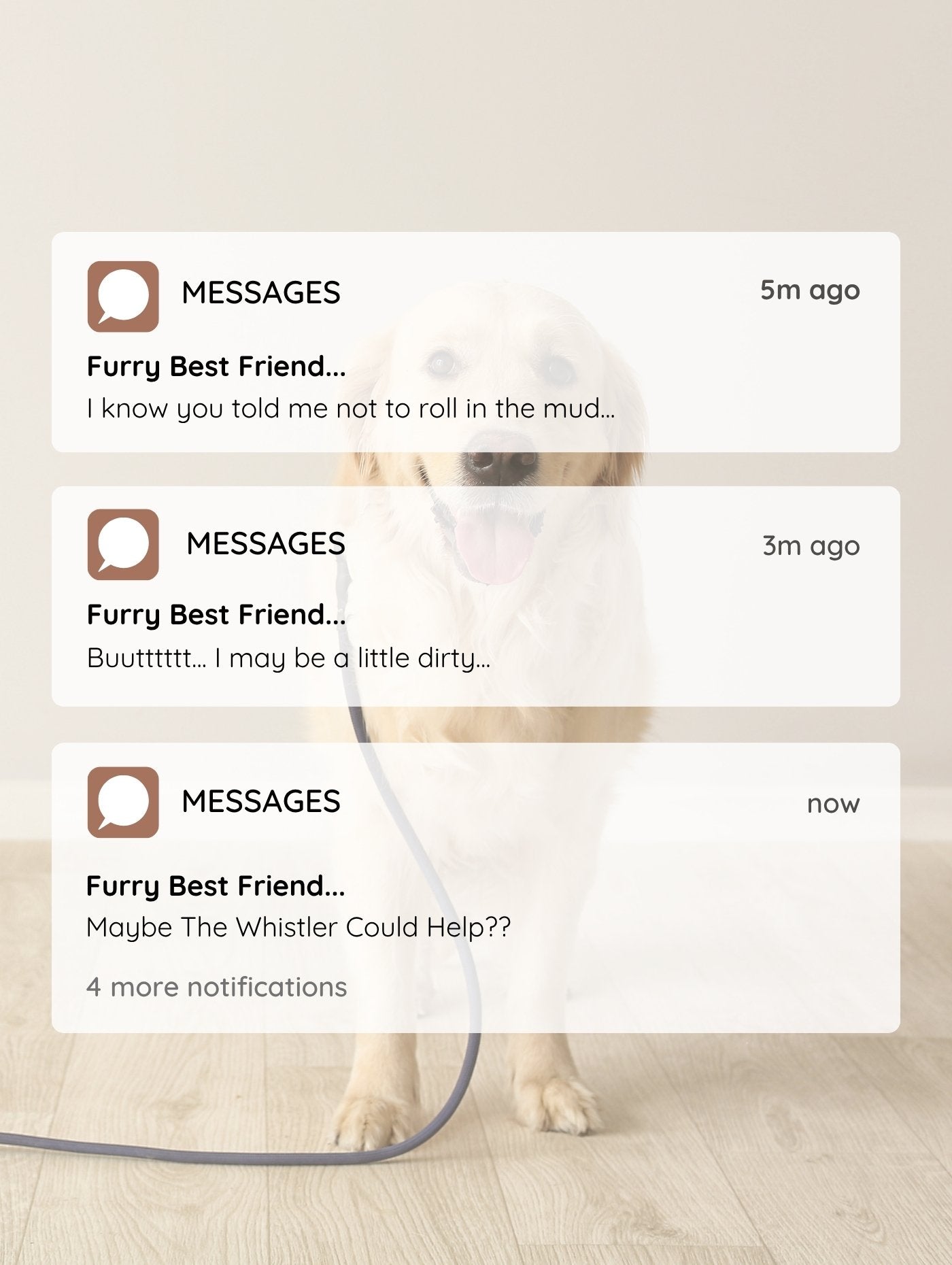 A golden retriever dog stands on a light wood floor against a beige wall, with three translucent smartphone message bubbles overlaid across the front. The messages read as notifications from a pet-related messaging app, including the title 'Furry Best Friend.