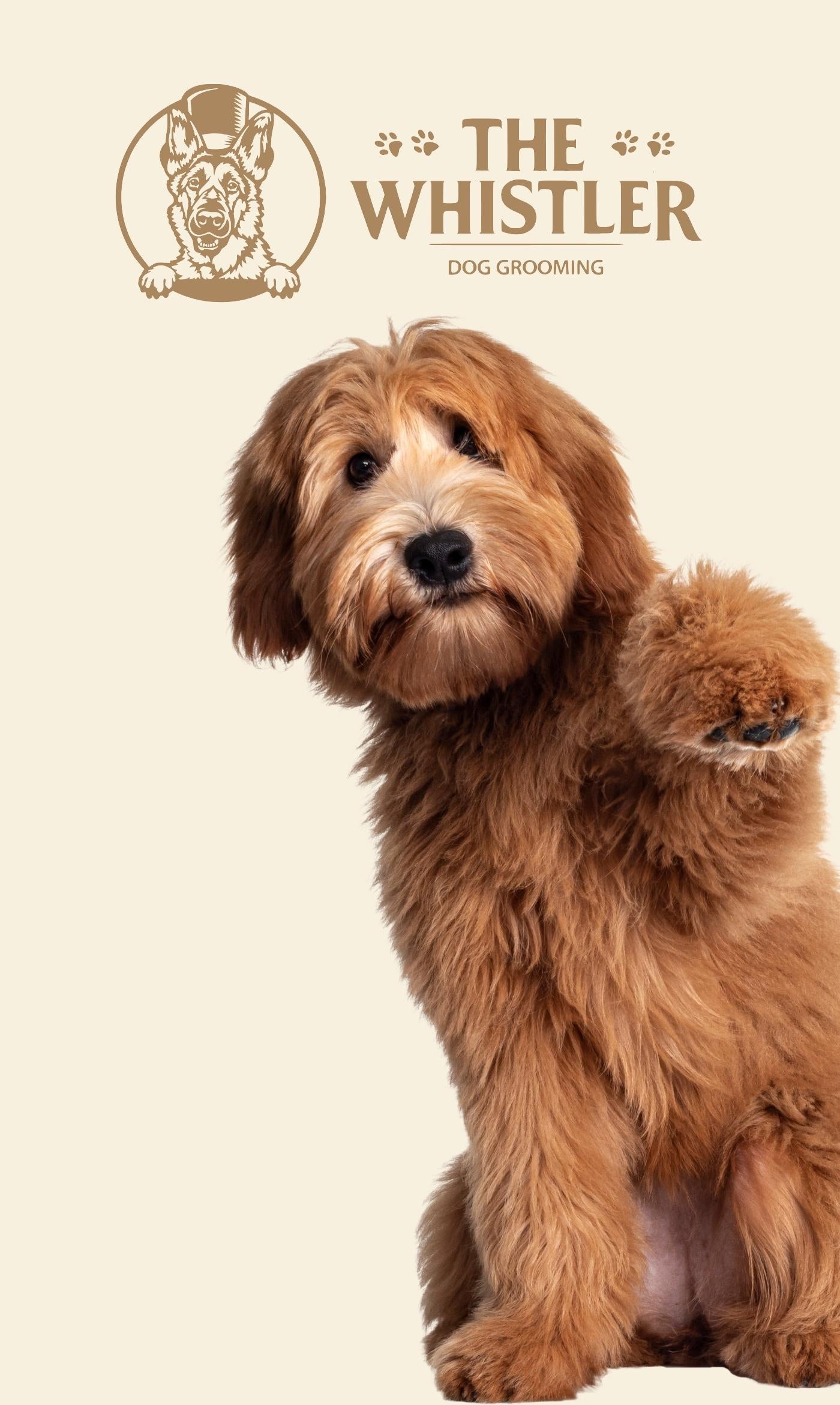 A golden doodle dog sitting and raising one paw, with the text 'THE WHISTLER DOG GROOMING' and a dog logo in tan at the top left, on a light cream background.