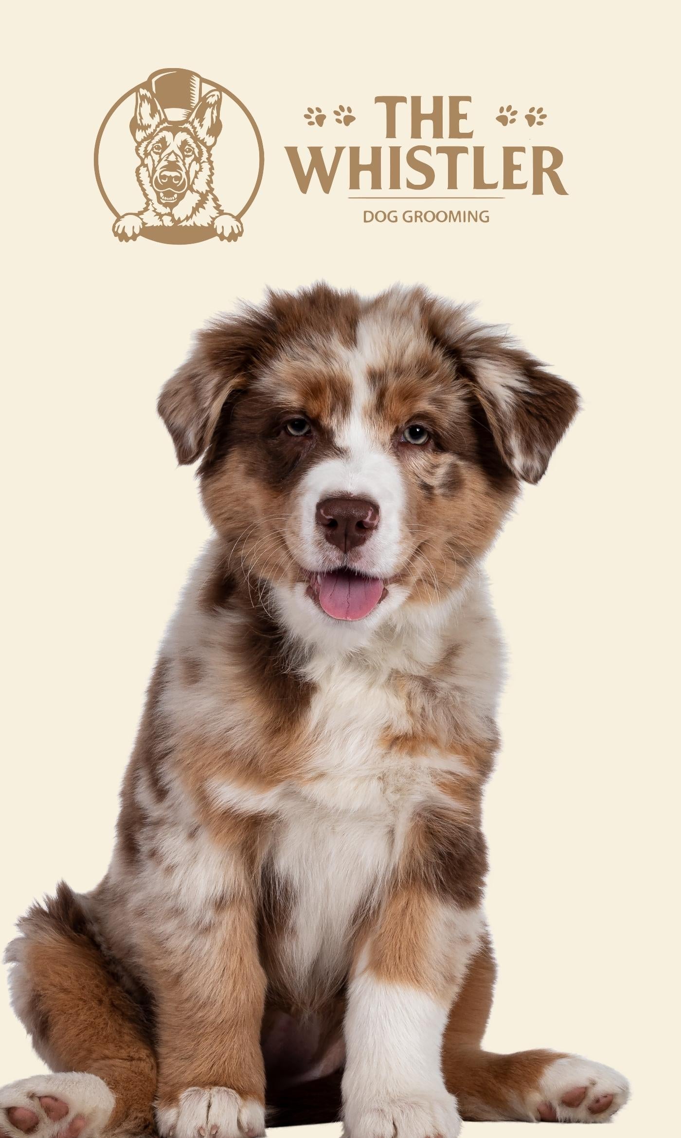 A smiling Australian Shepherd puppy sits against a solid cream background, with the logo for 'The Whistler Dog Grooming' printed at the top.